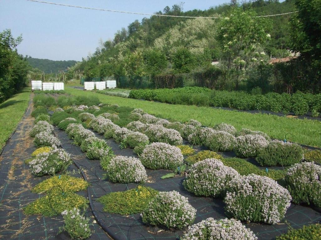 Agriturismo Cascina Rossano Provaglio d'Iseo Zewnętrze zdjęcie