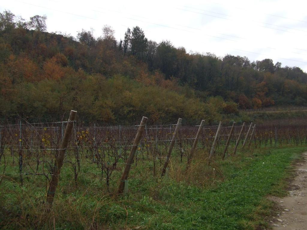Agriturismo Cascina Rossano Provaglio d'Iseo Zewnętrze zdjęcie