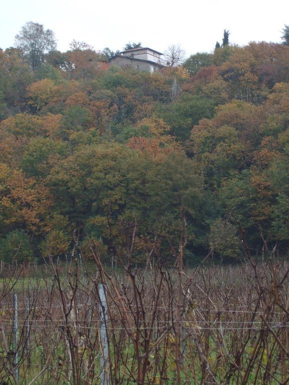 Agriturismo Cascina Rossano Provaglio d'Iseo Zewnętrze zdjęcie