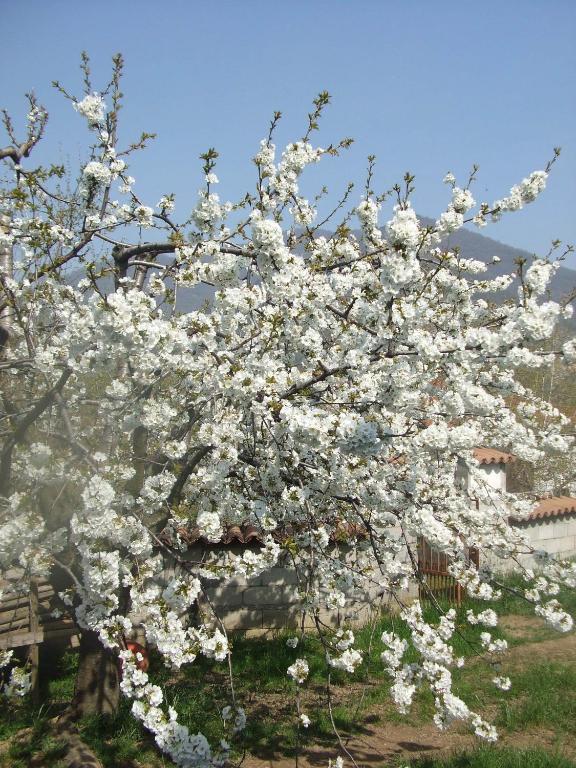 Agriturismo Cascina Rossano Provaglio d'Iseo Zewnętrze zdjęcie