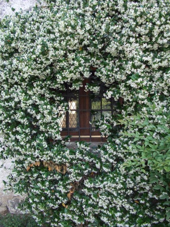 Agriturismo Cascina Rossano Provaglio d'Iseo Zewnętrze zdjęcie