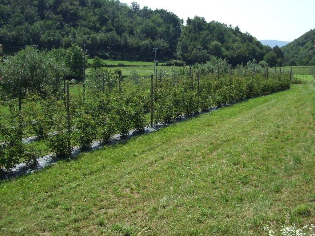 Agriturismo Cascina Rossano Provaglio d'Iseo Zewnętrze zdjęcie