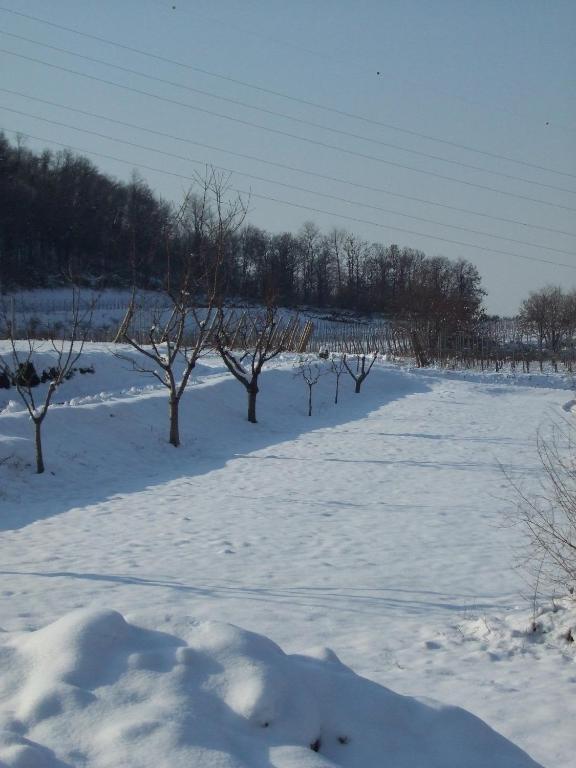 Agriturismo Cascina Rossano Provaglio d'Iseo Zewnętrze zdjęcie