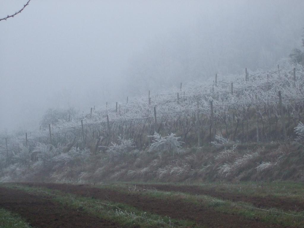 Agriturismo Cascina Rossano Provaglio d'Iseo Zewnętrze zdjęcie